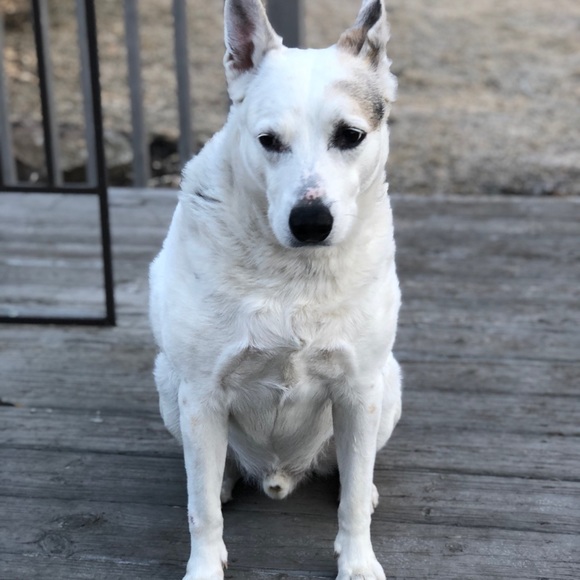 Meet your Posher, Angela - Picture 6 of 8